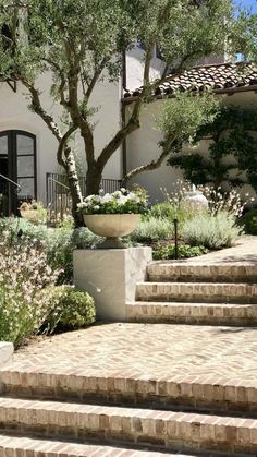 an outdoor garden with steps leading up to the house