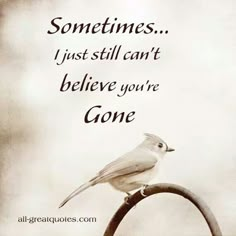 a bird sitting on top of a metal pole with a quote above it that says, sometimes i just still can't believe you't gone