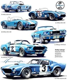 the history of ford's racing cars, from start to finish in three decades