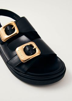 Black leather chunky sandals with gold buckles The chunky silhouette of the Daria sandals has all the more impact with oversized buckles at each strap. Manufactured locally from high-quality leather, craftsmanship comes through in every detail, from the molded footbeds to the shiny gold hardware, embossed with a logo stamp. Sustainable Leather, Footbed Sandals, Chunky Sandals, Black Leather Sandals, Buckle Sandals, Logo Stamp, Winter Sale, High Quality Leather, Leather Sandals