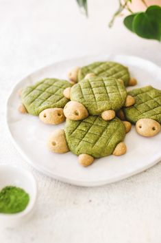 some cookies are on a white plate with green powder in the middle and small ones behind them