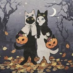 two cats are holding pumpkins in front of a full moon and trees with leaves