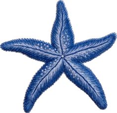 a blue star shaped object on a white background