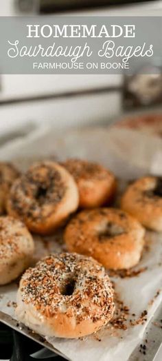 homemade sourdough bagels on a baking sheet