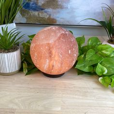 there is a large rock sitting on the table next to some plants and potted plants