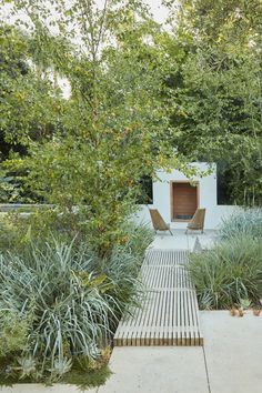 an outdoor area with wooden benches and plants