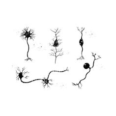 an image of some plants that are growing out of the ground in black ink on white paper