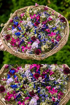 two wicker baskets filled with colorful flowers