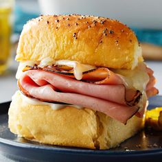 a ham and cheese sandwich on a plate