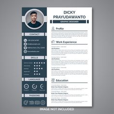 a professional resume template with blue and gray colors