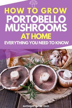 the cover of how to grow portobell mushrooms at home