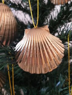 some ornaments hanging from a christmas tree in the shape of seashells are gold