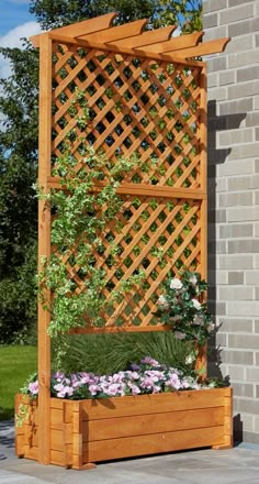 a wooden trellis with plants growing in it on the side of a brick building