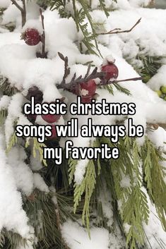 snow covered evergreen branches with the words classic christmas songs will always be my favorite thing