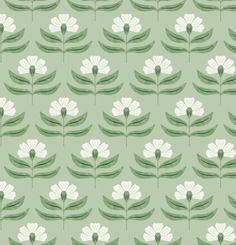 white flowers and green leaves are on a light green background, while the image is in full color