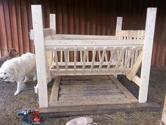 a white dog standing next to a wooden bench