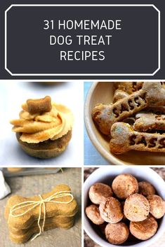 the collage shows different types of dog treats in bowls and on plates, with text overlay that reads 31 homemade dog treat recipes