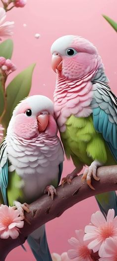 two birds sitting on top of a tree branch next to pink and green flowers in front of a pink background