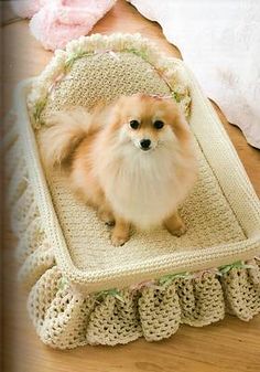 a small dog sitting on top of a crocheted blanket