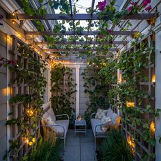 an outdoor living area with plants and lights