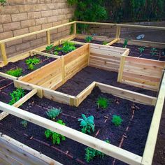 several wooden raised garden beds with plants growing in the middle and dirt on the ground