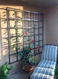 a chair sitting on top of a patio next to a potted plant with red flowers