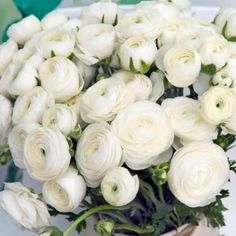 a bouquet of white roses sitting on top of a table