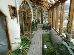 the walkway is lined with plants and potted plants