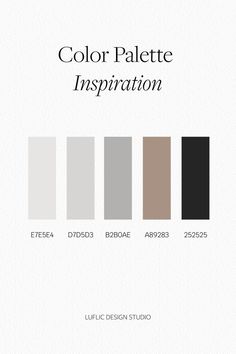 the color palette is shown in black, white and grey colors with text that reads'color