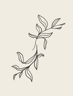 a black and white drawing of a branch with leaves