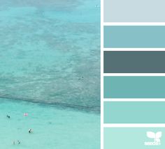 people are swimming in the ocean with blue and gray colors