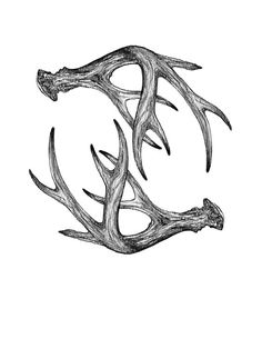 the letter e is made up of antlers