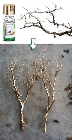 some branches that have been placed on the ground and are being used to decorate them