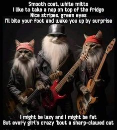 two cats wearing hats and playing guitars with caption that reads, smooth cat, white mitts i like to take a nap on top of the fridge