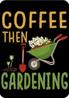 coffee then gardening with a wheelbarrow full of flowers