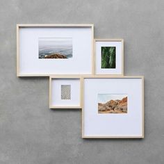 three framed photographs hang on the wall next to each other, one with a palm tree