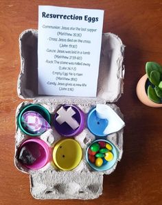 an egg carton filled with different types of eggs