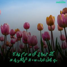 pink tulips with green leaves in the foreground and words written in arabic