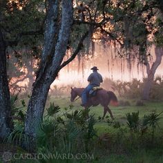 a man riding on the back of a horse through a forest