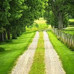 an empty dirt road lined with green grass and trees on both sides, leading into the distance