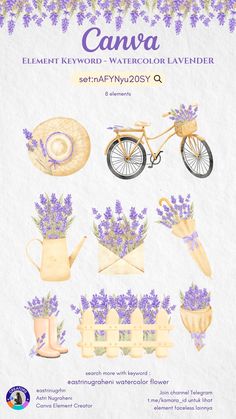 an image of lavenders and bicycles on the front cover of a book with text that reads