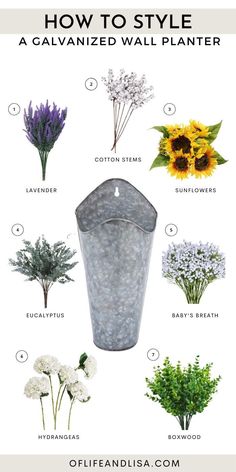 an image of flowers and plants that are labeled in the text, how to style a galvanized wall planter