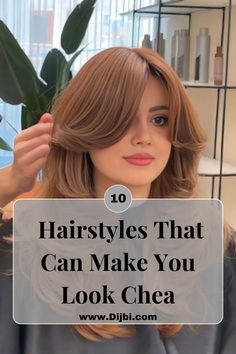 Hairstyles Hacks, Text Pins, Funny Cute Cats