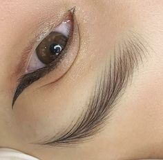 Flat Eyebrows, Gradient Eyebrows, Ombre Eyebrows Microblading, Eyebrow Hair Strokes, Hairstroke Eyebrows, Eyebrow Makeup Techniques, Microblading Eyebrows Hair Strokes, Microblading Strokes Pattern, Bentuk Alis