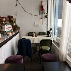 a black and white cat sitting on top of a counter in a room filled with furniture