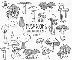 mushrooms line art clipart set