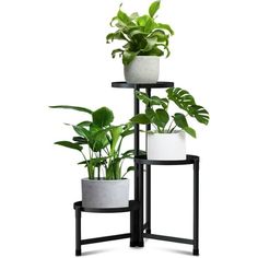 three tiered plant stand with potted plants