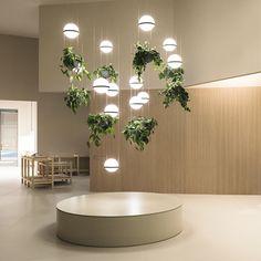 a circular light fixture with plants hanging from it's sides in a large room