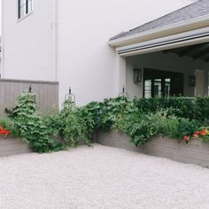 an outside view of a house with plants growing on the side