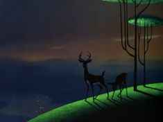 two deer standing next to each other in front of trees and the sky at night